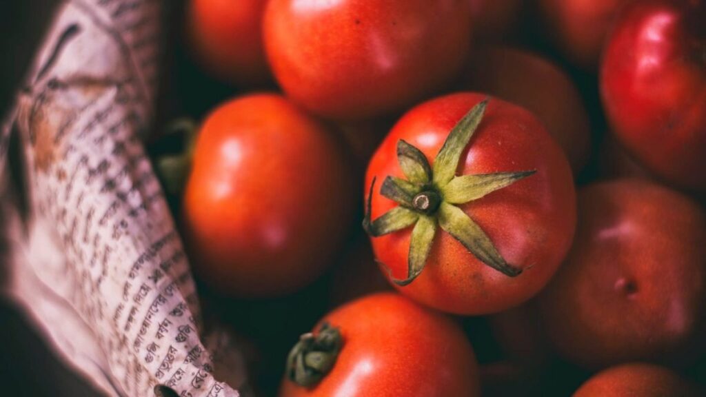 Tomate en la Nevera: Por Qué Nunca Debes Refrigerarlo 1 Tomate en la Nevera: Por Qué Nunca Debes Refrigerarlo